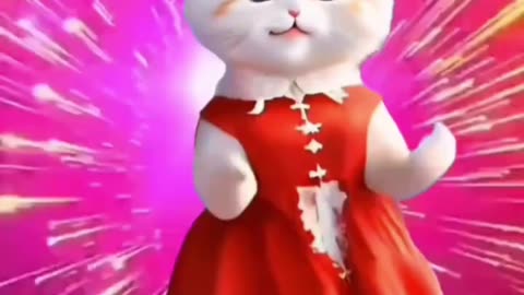 Funny cute cat cat dance