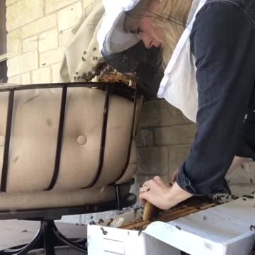 It’s time to save the bees!