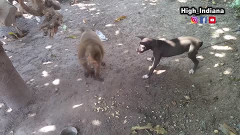 Funny fight scene