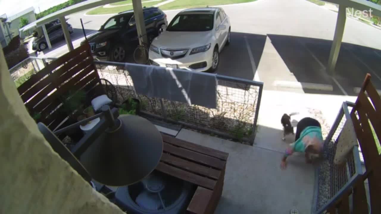 Woman Trips Carrying Her Dog, Gets up and Into Her House