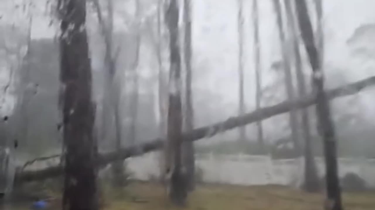 Tree falls on Perry, Florida home during Hurricane Idalia; minor roof damage, family safe.