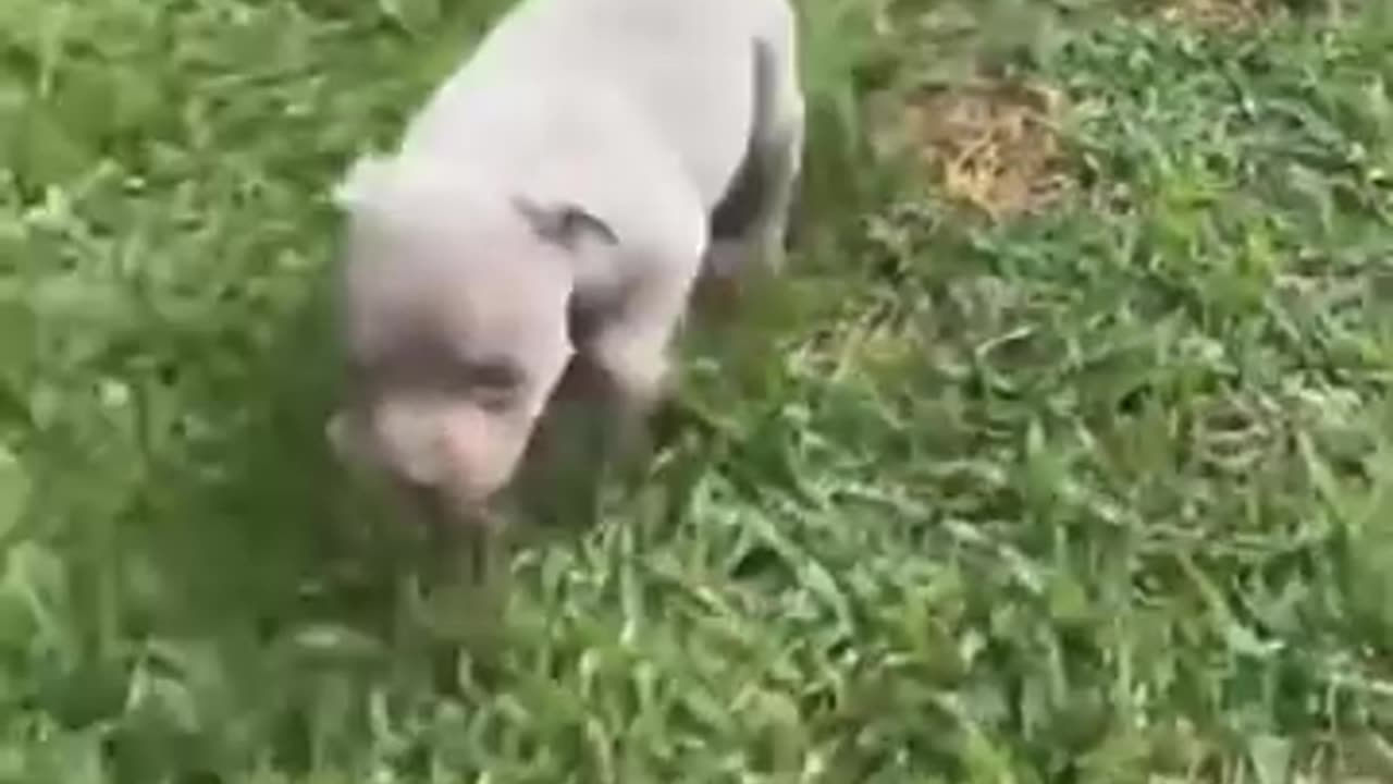Wow