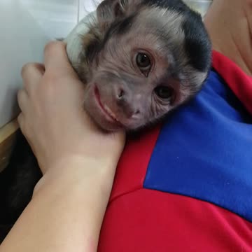 Папа самый лучший друг