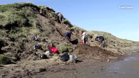 Wooly mammoths had no body odor: DNA study