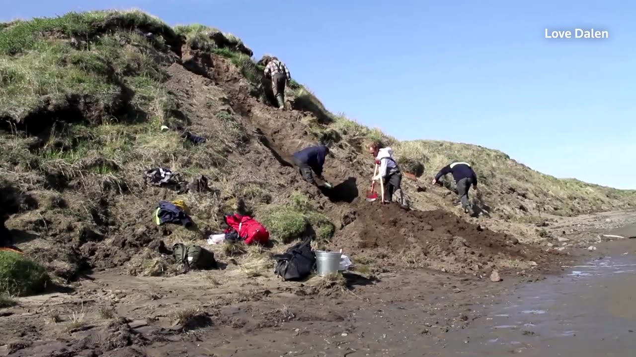 Wooly mammoths had no body odor: DNA study