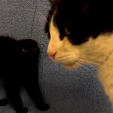 When You Meet Finally Boss In Video Game!