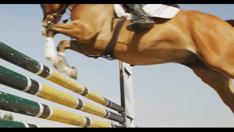 African American man jumping an obstacle with his Dressage horse