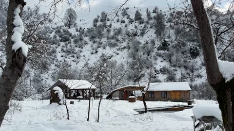 Caught And Cooked Trout Inside Logs! Life In The Distant Snowy Mountains