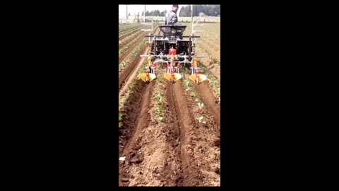 Modern agricultural technology