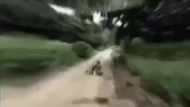 Strange alian videos