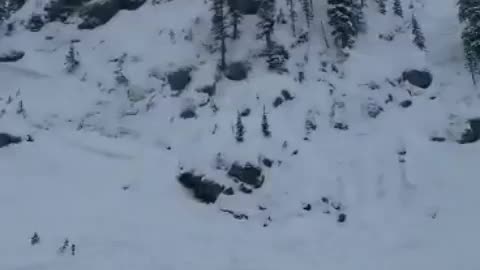 Early season drops!