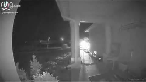 Delivery Guy Frightened by Frog