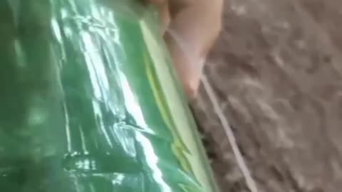 Sendo Útil...#shorts