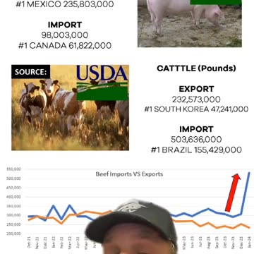 The American Beef Market Is Being Eliminated