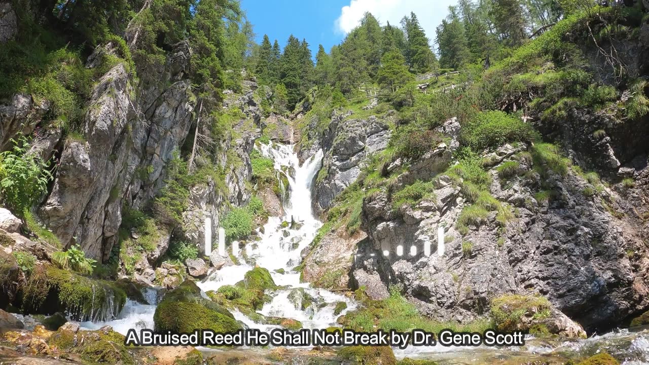 A Bruised Reed He Shall Not Break by Dr. Gene Scott