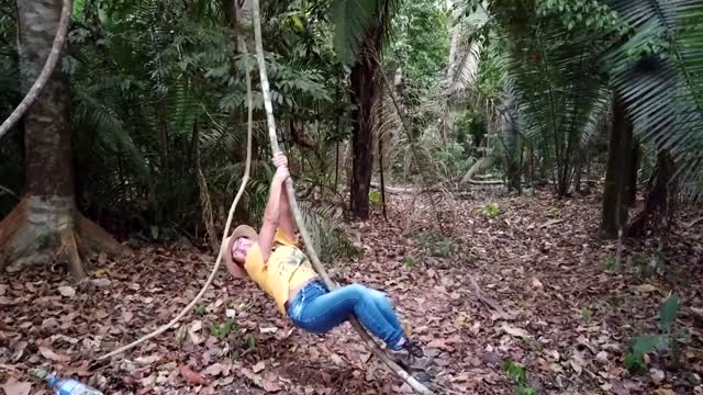 Is the Amazon reaching a tipping point?