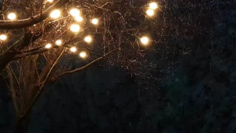 1 HOURS QUIET NIGHT GENTLE RAIN SOUNDS for SLEEPING, deep sleep, Insomnia,White noise,Nature sound