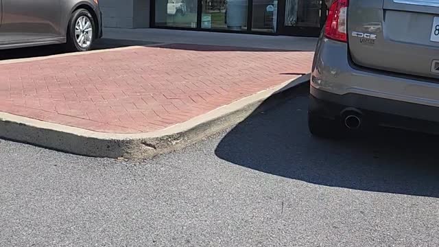 Women Allegedly Steal From Ulta