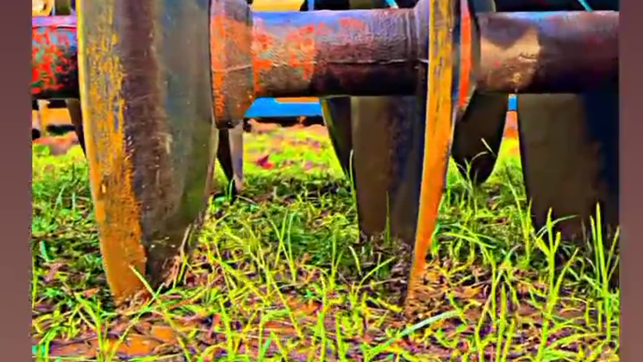 Farmer video