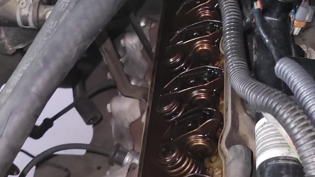 Ever Wonder What Your Valves Look Like?