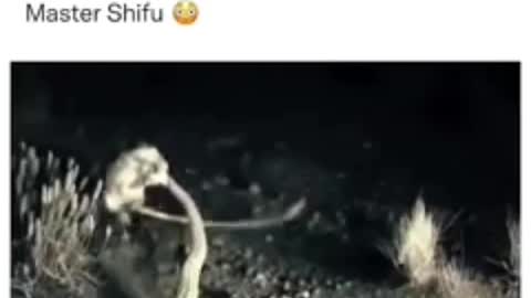 Kung fu master 😀