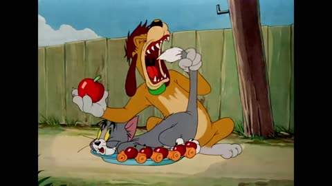 Tom & Jerry | Collection of classic drawings | Tom, Jerry and Spike | WB Kids