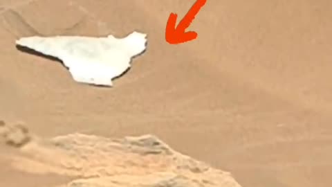 Nasa Found on Mars