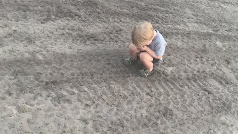 Memphis The Hide And Seek Champ