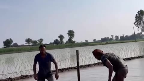 Desi WWE