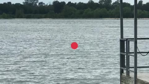 Look at the dot...