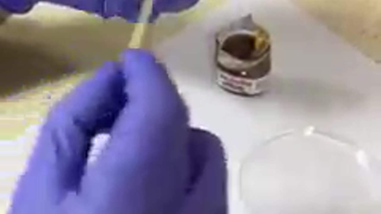 Never-Opened, Freshly Unsealed Nutella Appears to Contain Parasitic Organisms