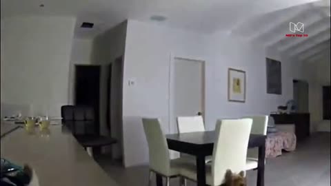 Top 10 Scary Things Caught on Security Cameras