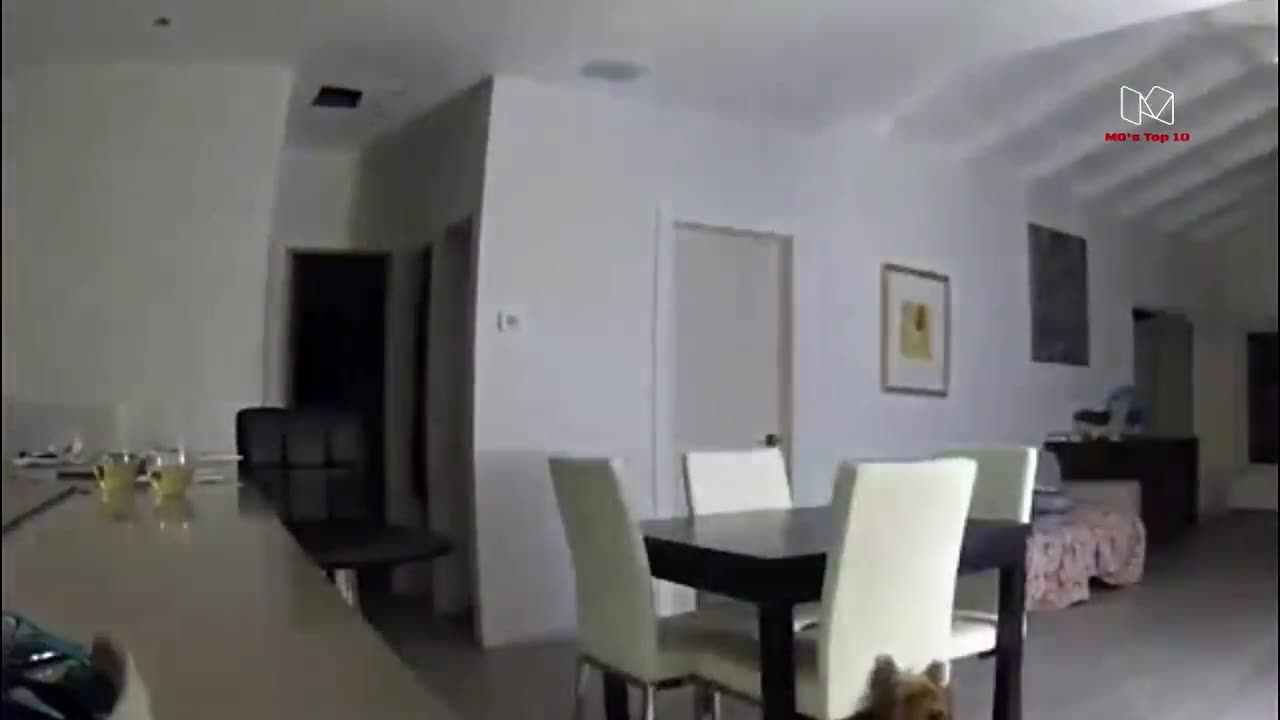 Top 10 Scary Things Caught on Security Cameras