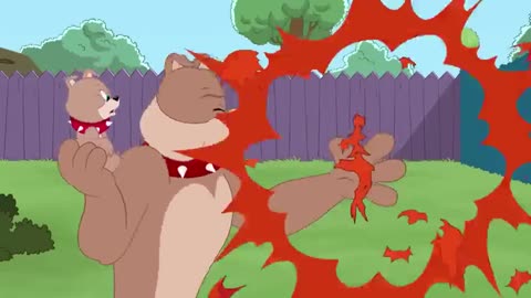 tom and jerry cartoon