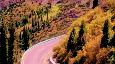 Shot in more than 500 days, 43 shots, Xinjiang's four seasons