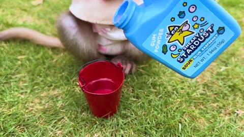 Monkey Baby Bon Bon bath with duckling toy in the pool and puppy pretend to be a delivery man
