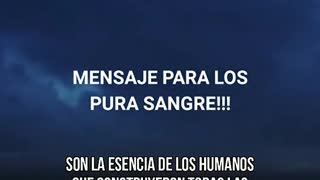 Mensaje para los pura sangre