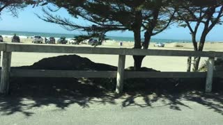 California