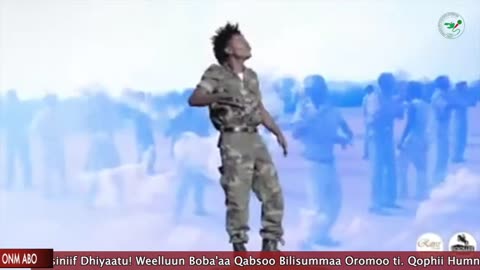 Qophii Humna Weelluu ONM-ABO Bitootessa 12,2024torbaaniti yeroo tokko darbuu itti dhiyaadhaa!