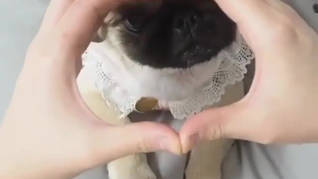 A merry heart goes all the way