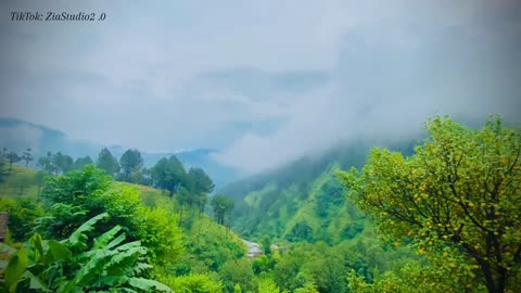 Nature lover