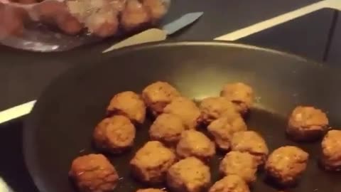 Amazing animals