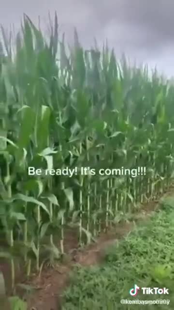 Be Ready It's Coming...