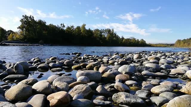 Rainforest Sound for Drinking Coffe