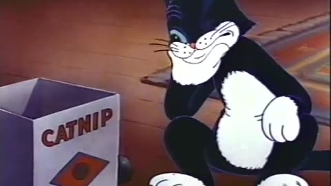 Terrytoons - 1940x11 - Catnip Capers