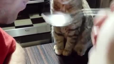 He was really patient and didn't rob me of my food