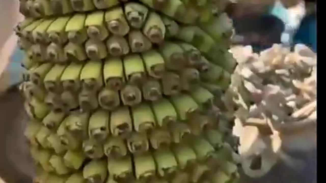 Wow my favourite fruits is banana
