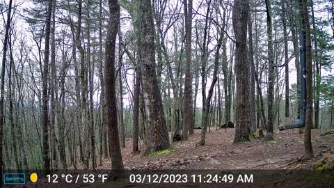 The Woods – 03/13/2023