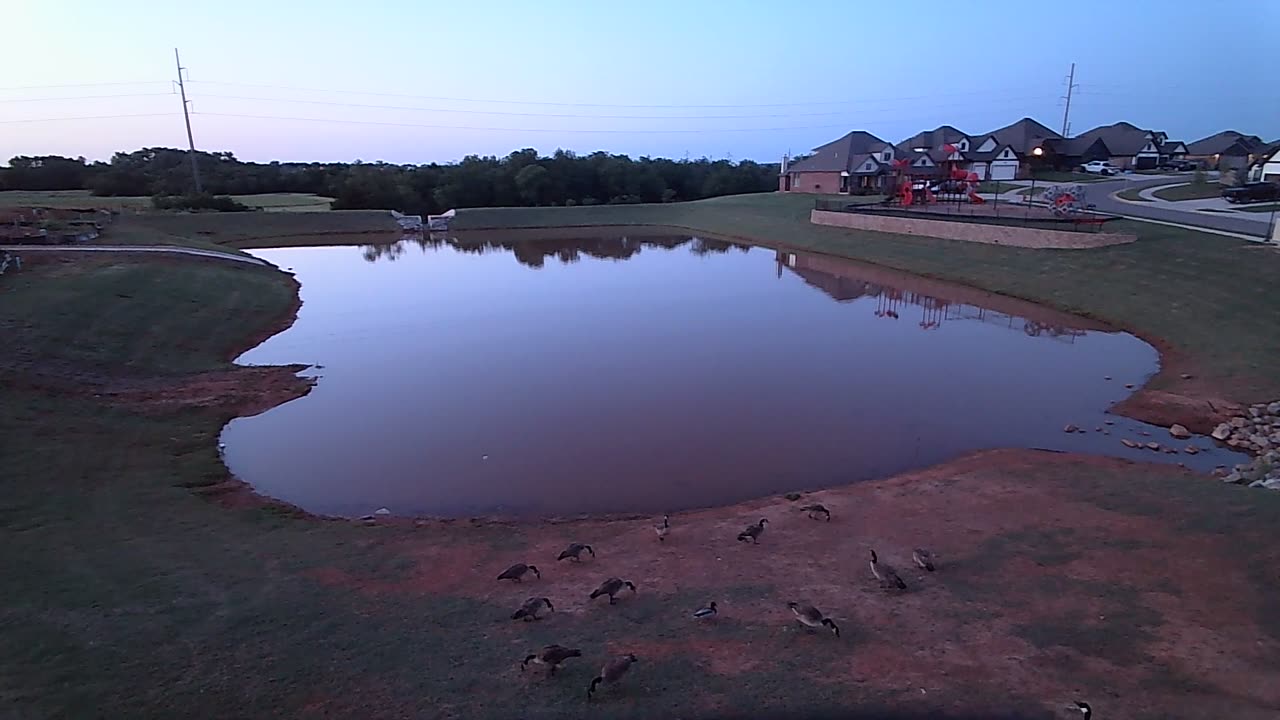 The Pond