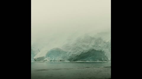 Fog 16